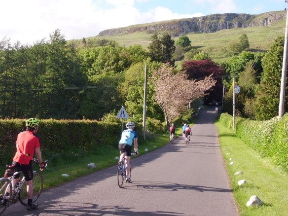 Summer sunshine, 1 June 2013